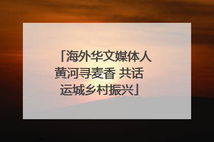 海外华文媒体人黄河寻麦香 共话运城乡村振兴