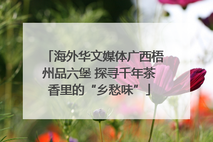 海外华文媒体广西梧州品六堡 探寻千年茶香里的“乡愁味”