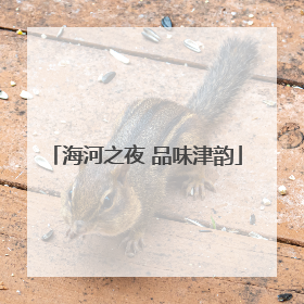海河之夜 品味津韵