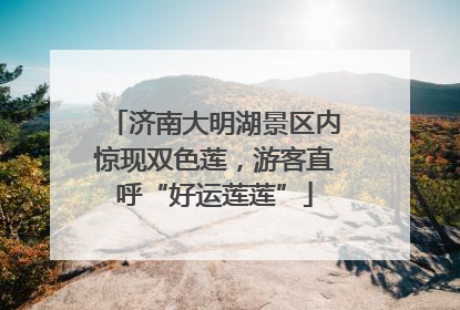 济南大明湖景区内惊现双色莲，游客直呼“好运莲莲”