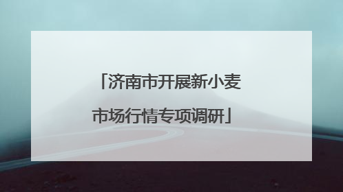 济南市开展新小麦市场行情专项调研