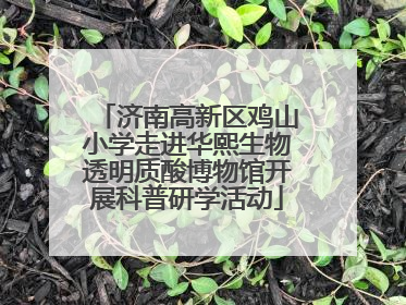 济南高新区鸡山小学走进华熙生物透明质酸博物馆开展科普研学活动