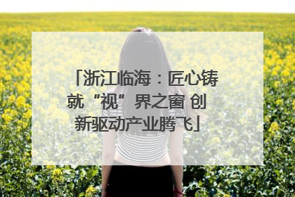 浙江临海：匠心铸就“视”界之窗 创新驱动产业腾飞