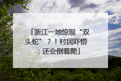 浙江一地惊现“双头蛇”？！村民吓懵：还会倒着爬