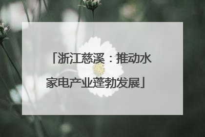 浙江慈溪：推动水家电产业蓬勃发展