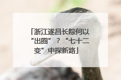 浙江遂昌长粽何以“出圈”？“七十二变”中探新路