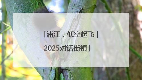 浦江，低空起飞｜2025对话街镇