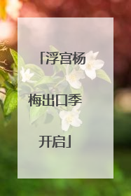 浮宫杨梅出口季开启