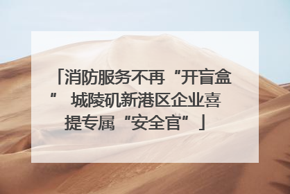 消防服务不再“开盲盒” 城陵矶新港区企业喜提专属“安全官”