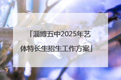 淄博五中2025年艺体特长生招生工作方案