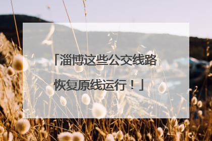 淄博这些公交线路恢复原线运行！