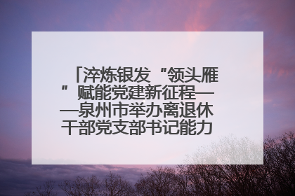 淬炼银发“领头雁”赋能党建新征程——泉州市举办离退休干部党支部书记能力建设专题培训