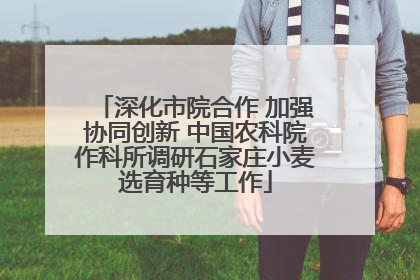深化市院合作 加强协同创新 中国农科院作科所调研石家庄小麦选育种等工作