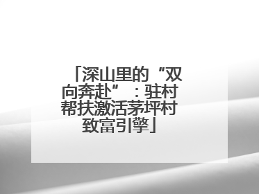 深山里的“双向奔赴”：驻村帮扶激活茅坪村致富引擎