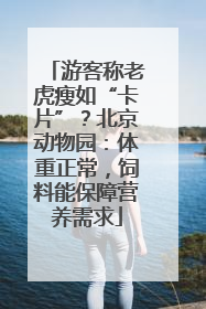 游客称老虎瘦如“卡片”？北京动物园：体重正常，饲料能保障营养需求