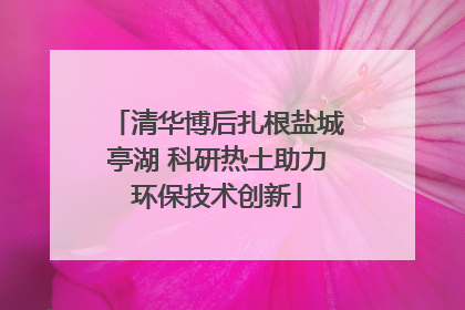 清华博后扎根盐城亭湖 科研热土助力环保技术创新