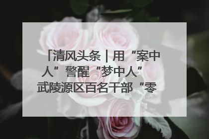 清风头条｜用“案中人”警醒“梦中人” 武陵源区百名干部“零距离”接受警示教育
