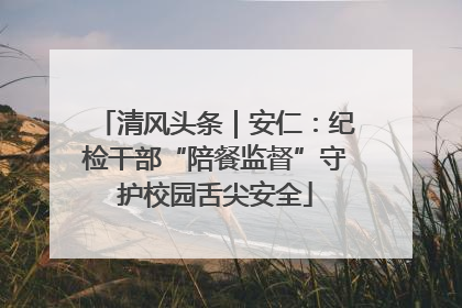 清风头条｜安仁：纪检干部“陪餐监督”守护校园舌尖安全