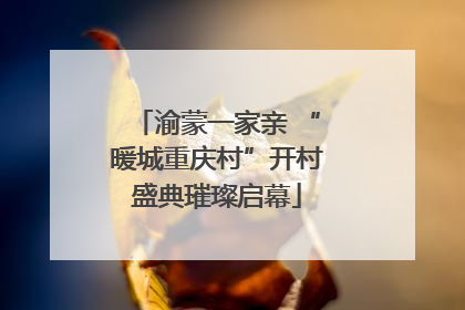 渝蒙一家亲 “暖城重庆村”开村盛典璀璨启幕
