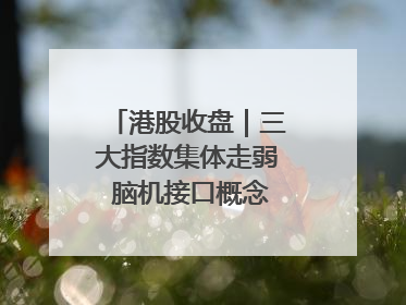 港股收盘｜三大指数集体走弱 脑机接口概念股逆势走强