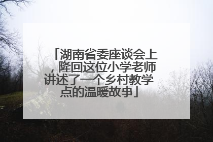 湖南省委座谈会上，隆回这位小学老师讲述了一个乡村教学点的温暖故事