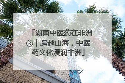 湖南中医药在非洲③｜跨越山海，中医药文化浸润非洲