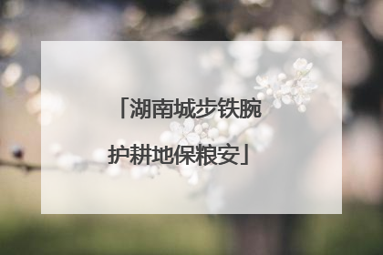 湖南城步铁腕护耕地保粮安