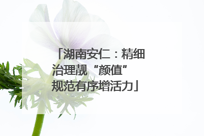 湖南安仁：精细治理靓“颜值” 规范有序增活力