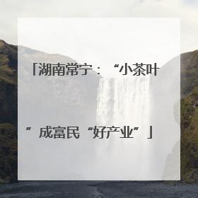 湖南常宁：“小茶叶”成富民“好产业”