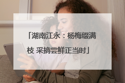 湖南江永：杨梅缀满枝 采摘尝鲜正当时