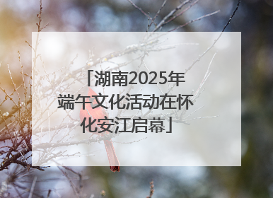 湖南2025年端午文化活动在怀化安江启幕