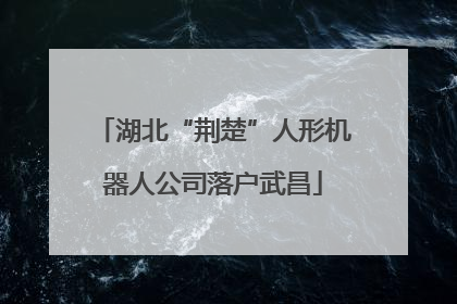 湖北“荆楚”人形机器人公司落户武昌