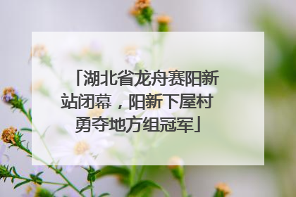 湖北省龙舟赛阳新站闭幕，阳新下屋村勇夺地方组冠军