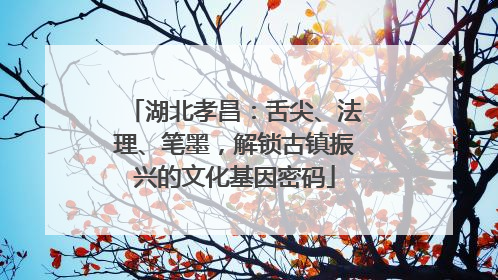 湖北孝昌：舌尖、法理、笔墨，解锁古镇振兴的文化基因密码