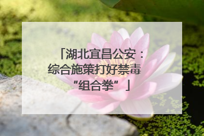 湖北宜昌公安：综合施策打好禁毒“组合拳”