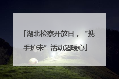湖北检察开放日，“携手护未”活动超暖心