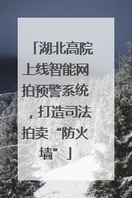 湖北高院上线智能网拍预警系统，打造司法拍卖“防火墙”
