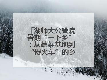 湖师大公管院暑期“三下乡”：从蔬菜基地到“慢火车”的乡村振兴实践