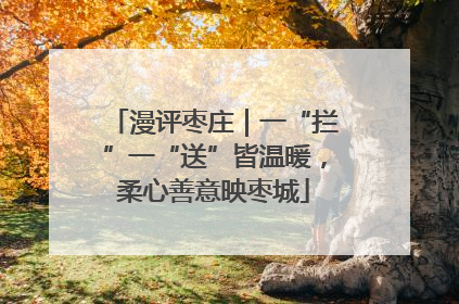 漫评枣庄｜一“拦”一“送”皆温暖，柔心善意映枣城