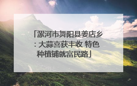 漯河市舞阳县姜店乡：大蒜喜获丰收 特色种植铺就富民路
