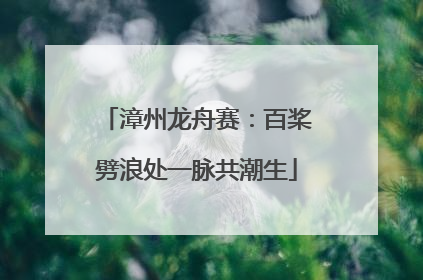 漳州龙舟赛：百桨劈浪处一脉共潮生