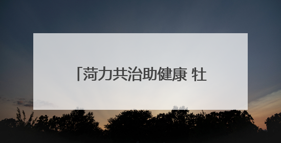 菏力共治助健康 牡丹区省派第一书记和工作队邀请省妇幼保健院专家开展义诊活动
