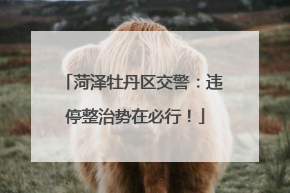 菏泽牡丹区交警：违停整治势在必行！