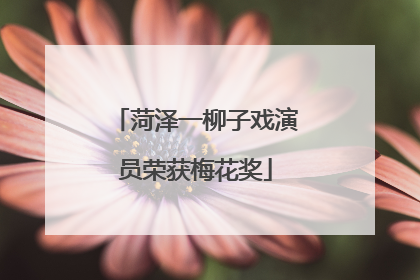 菏泽一柳子戏演员荣获梅花奖