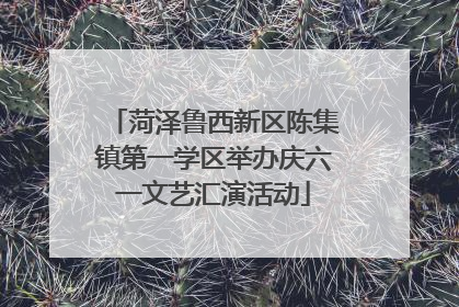 菏泽鲁西新区陈集镇第一学区举办庆六一文艺汇演活动