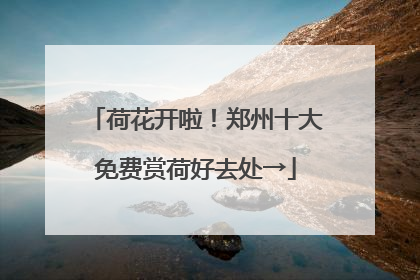 荷花开啦！郑州十大免费赏荷好去处→