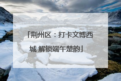 荆州区：打卡文博西城 解锁端午楚韵