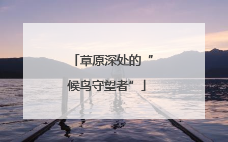 草原深处的“候鸟守望者”