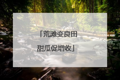 荒滩变良田 甜瓜促增收