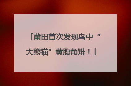 莆田首次发现鸟中“大熊猫”黄腹角雉！
